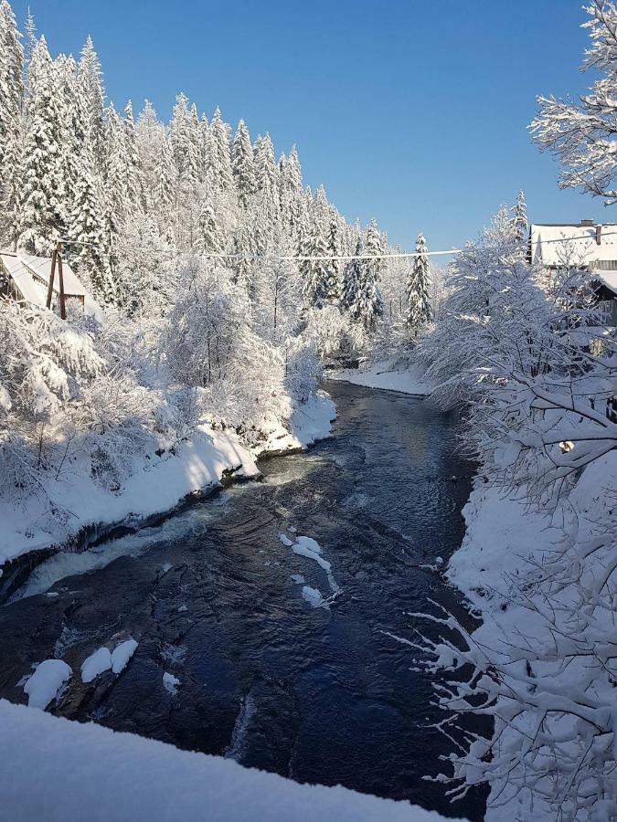 Apartamenty I Pokoje U Staszelow Poronin Exteriér fotografie