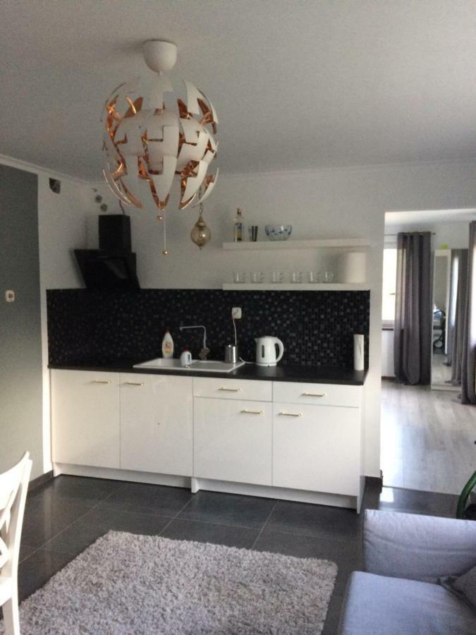 Apartamenty I Pokoje U Staszelow Poronin Exteriér fotografie