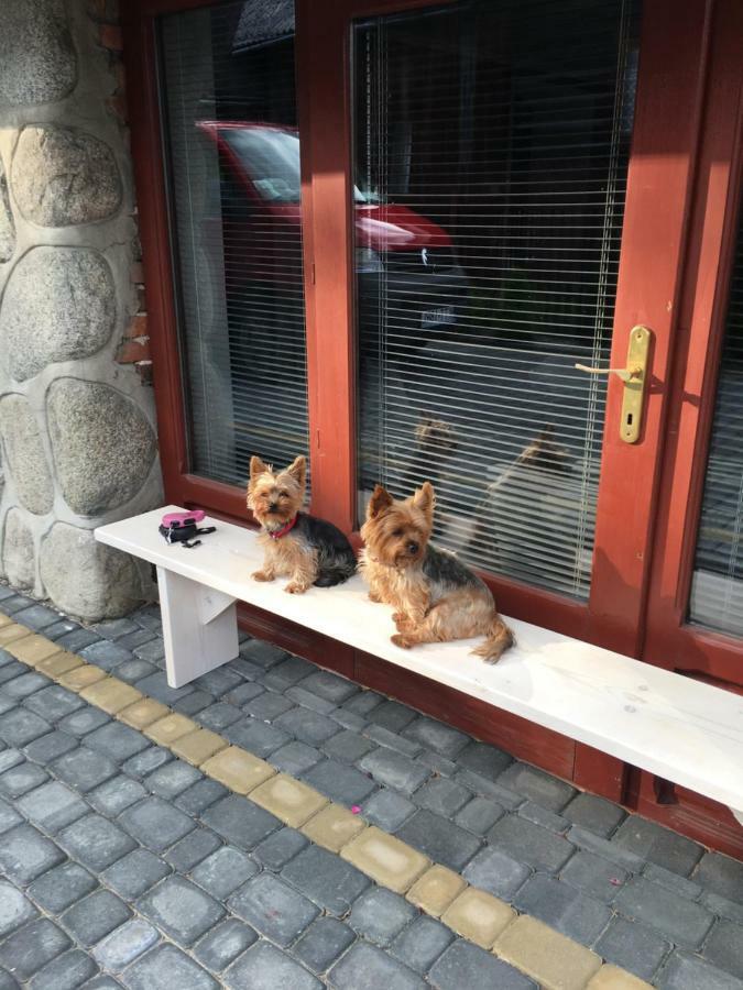 Apartamenty I Pokoje U Staszelow Poronin Exteriér fotografie